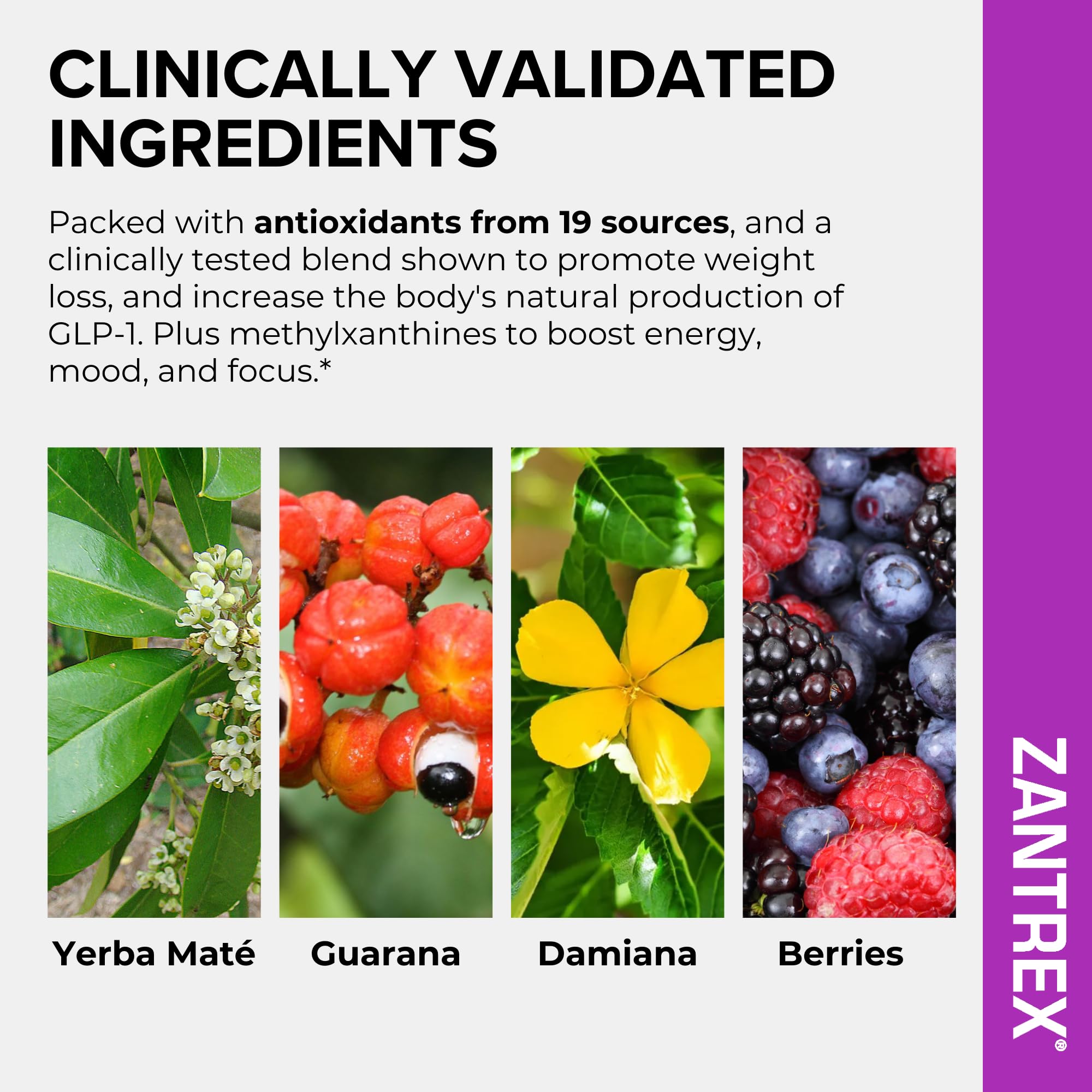Zantrex SkinnyStix dairy-free label; suitable for allergy-aware, clean energy.