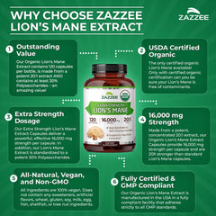 Zazzee vegan non-GMO formula free from common allergens.