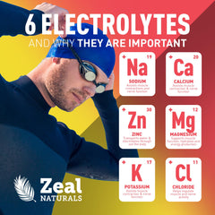 Zeal Electrolyte Powder lab-tested seal confirms quality and safety.