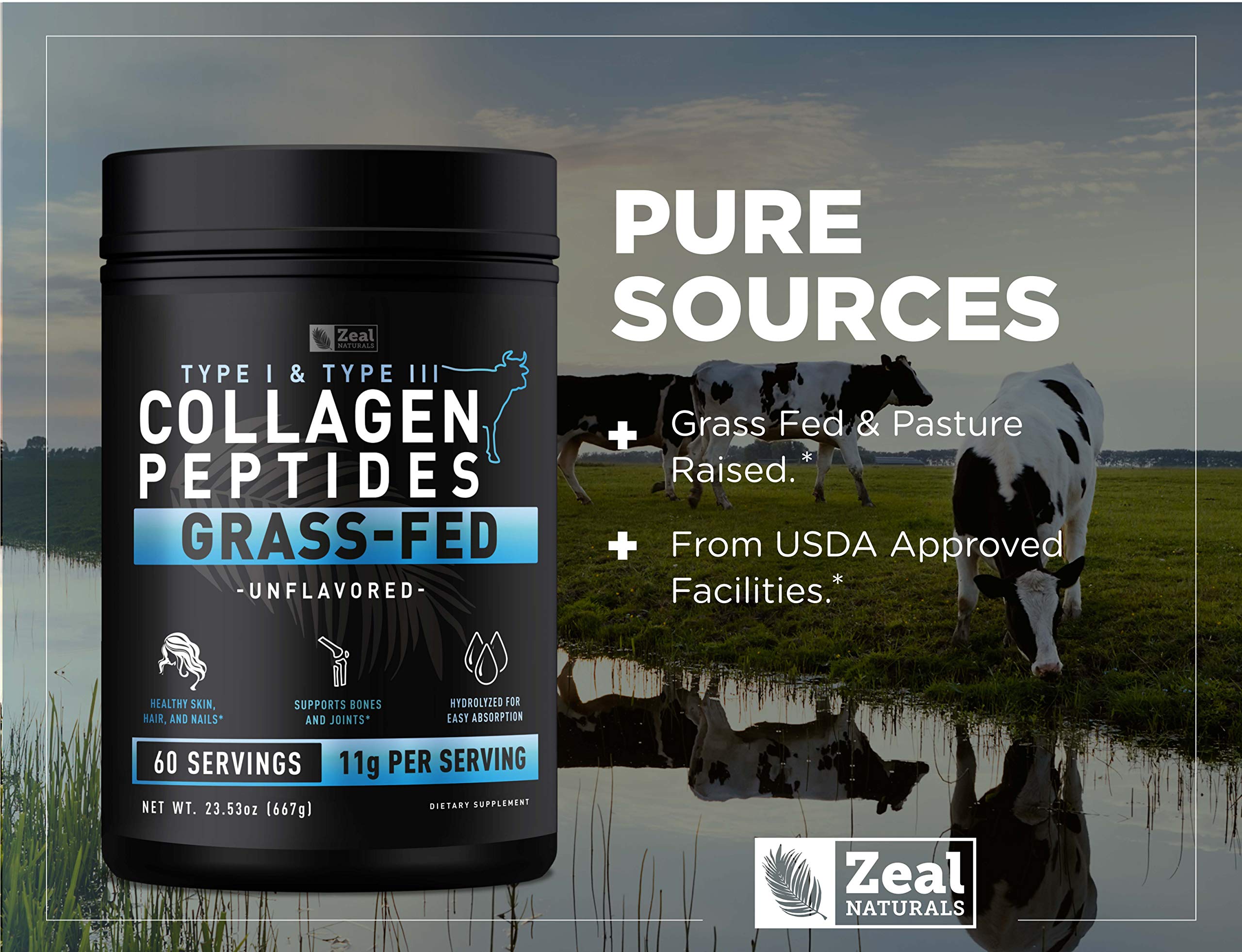 Zeal Naturals 9g collagen protein per serving for richer shakes