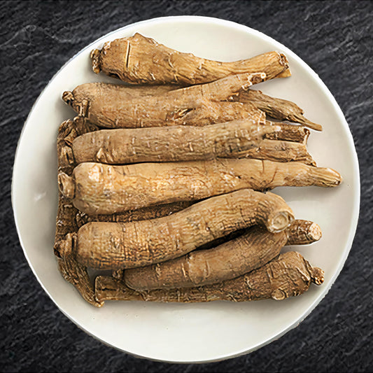 Zen Ginseng King Size Root close-up; strong, daily-use ginseng for energy.