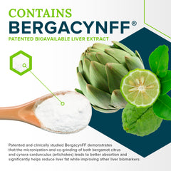 Zen Nutrients Bergacyn FF and artichoke detail for absorption support.