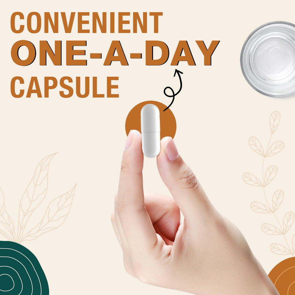 ZenixZephir 60-serving packaging image suggests long-term cognitive support options
