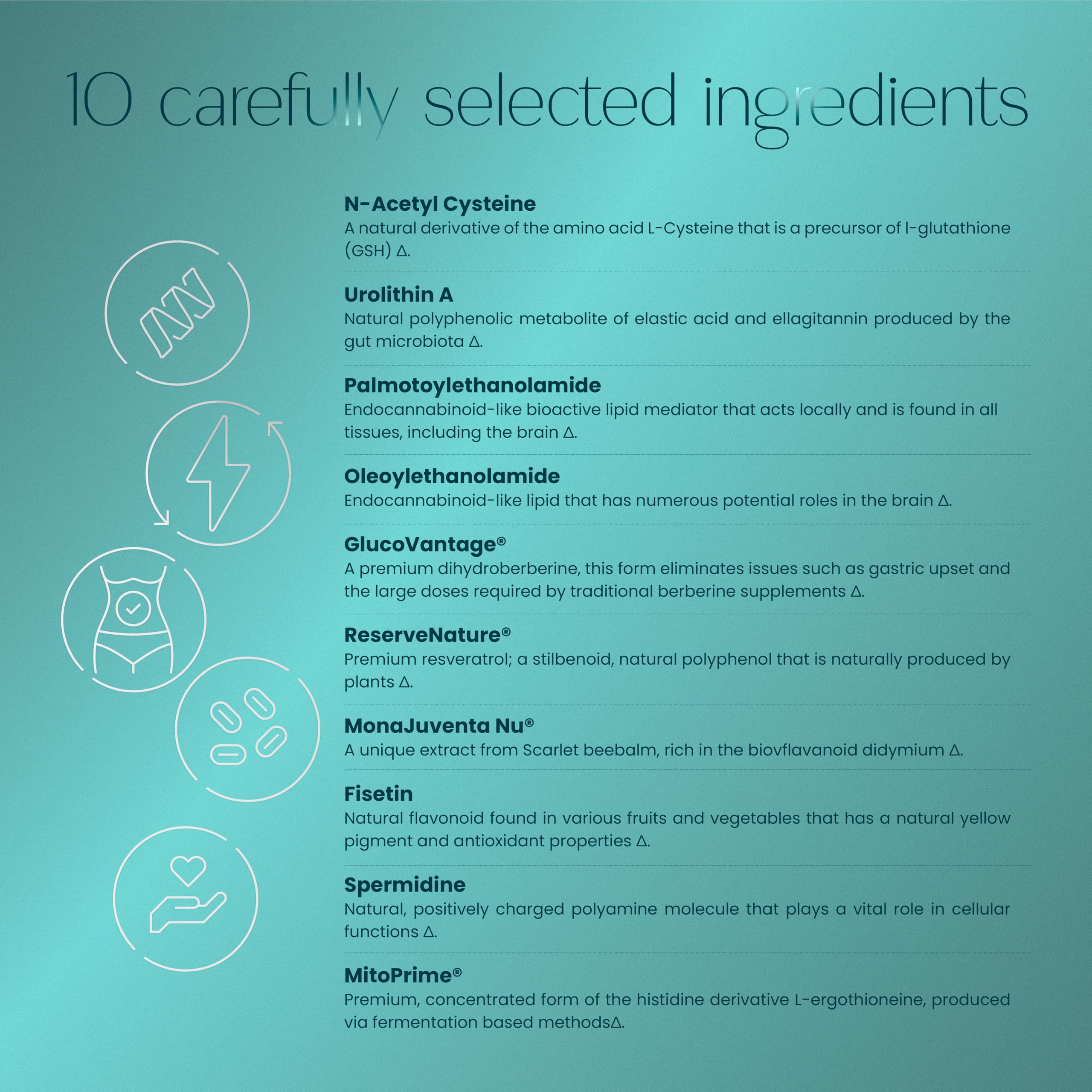NAC and supporting compounds shown for detox and antioxidant potential.