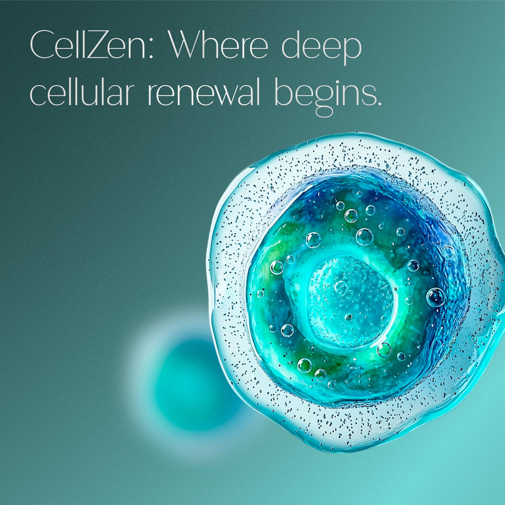 Urolithin A visual cue for senescent cell clearance.