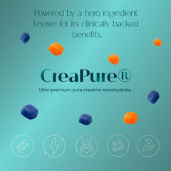 Back of package features simple ingredients and clear serving information.