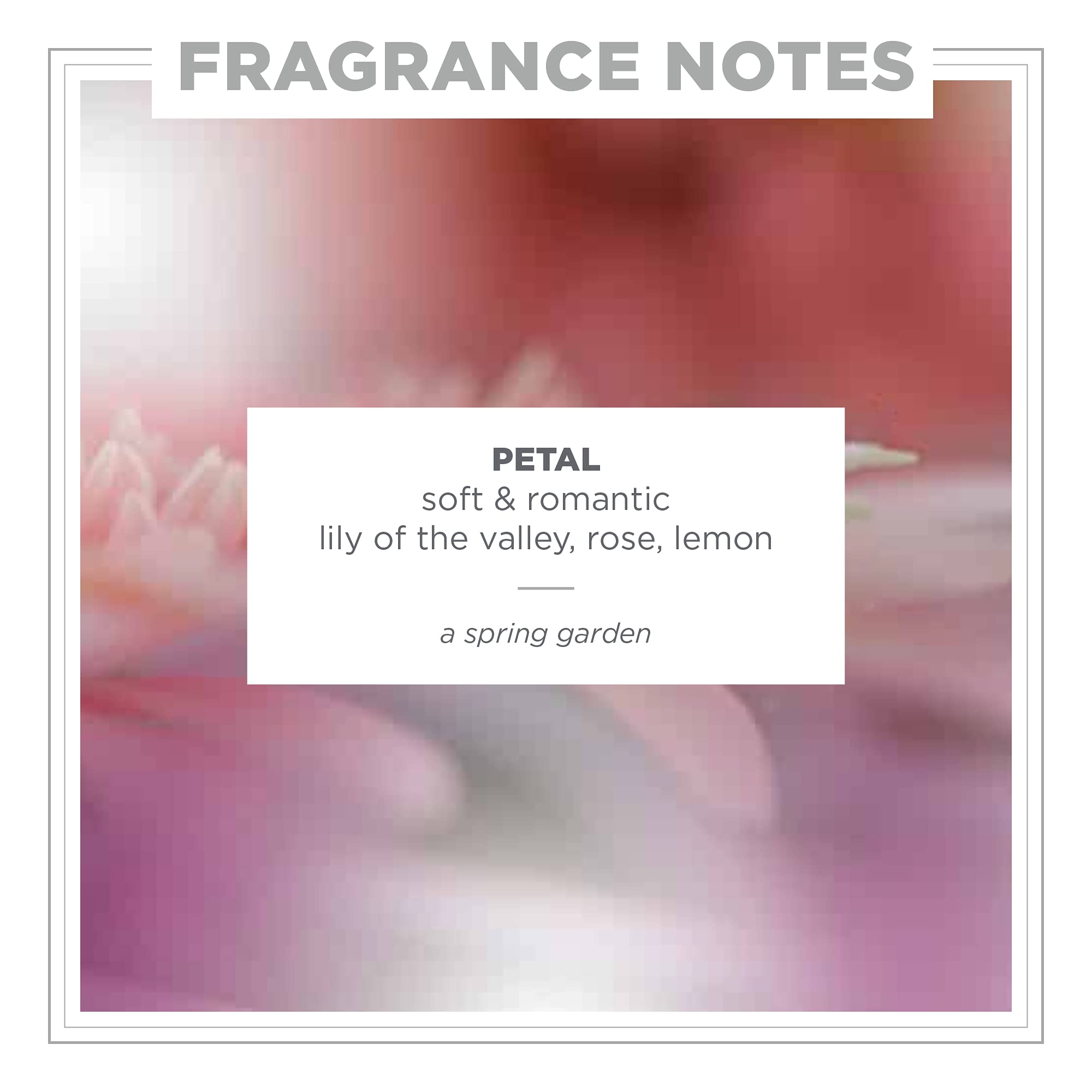 Zents Attar Petal packaging and label highlighting vegan, cruelty-free values