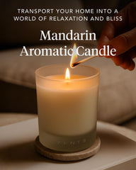 Zents Mandarin Ginger Vanilla candle glow highlights frosted jar design.