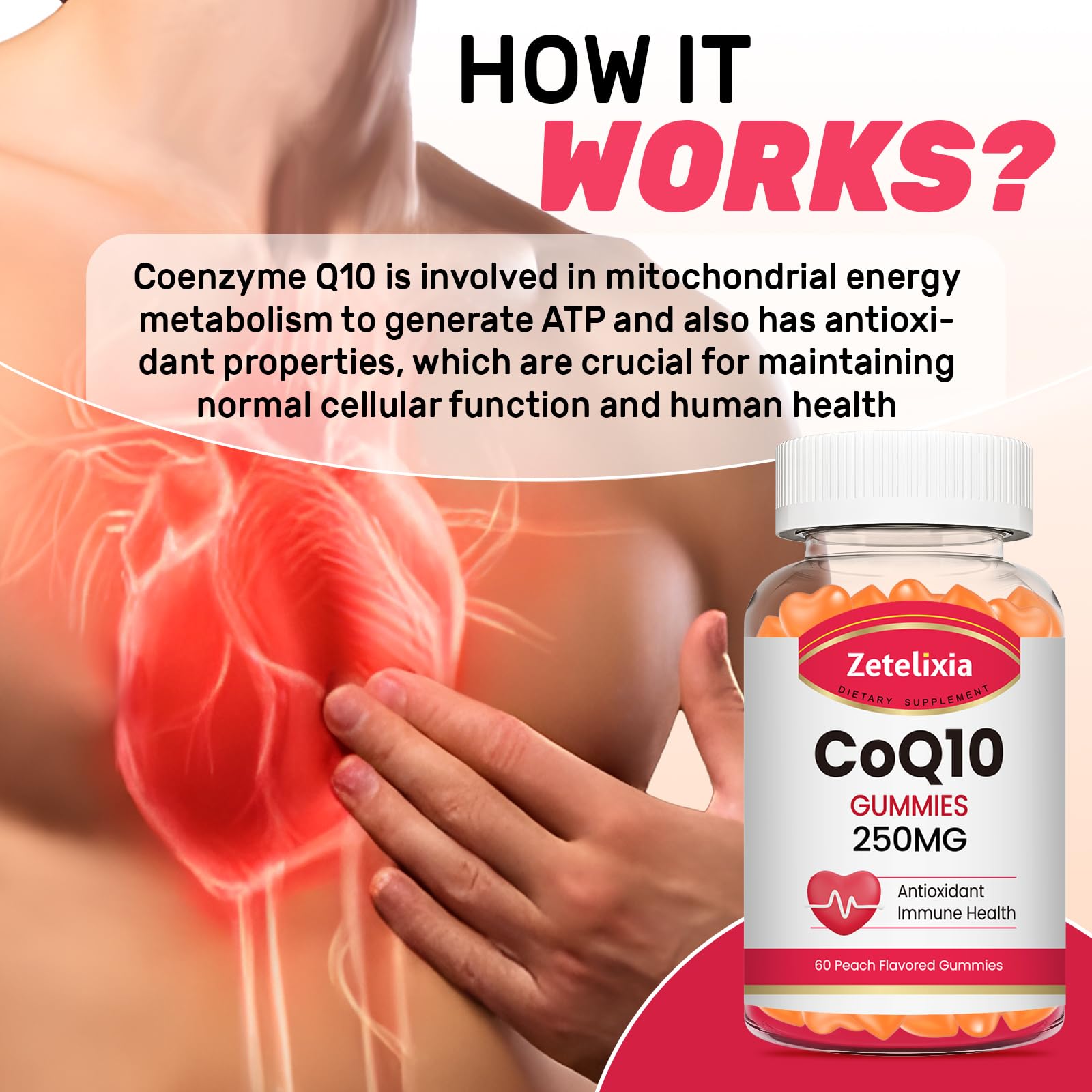 Zetelixia CoQ10 gummies peach scoop illustrating dosage and absorption.