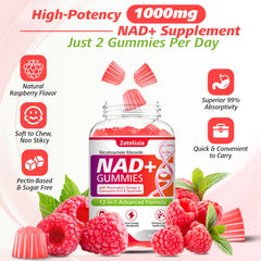 Zetelixia NAD Gummies daily-use routine setup for morning energy boost