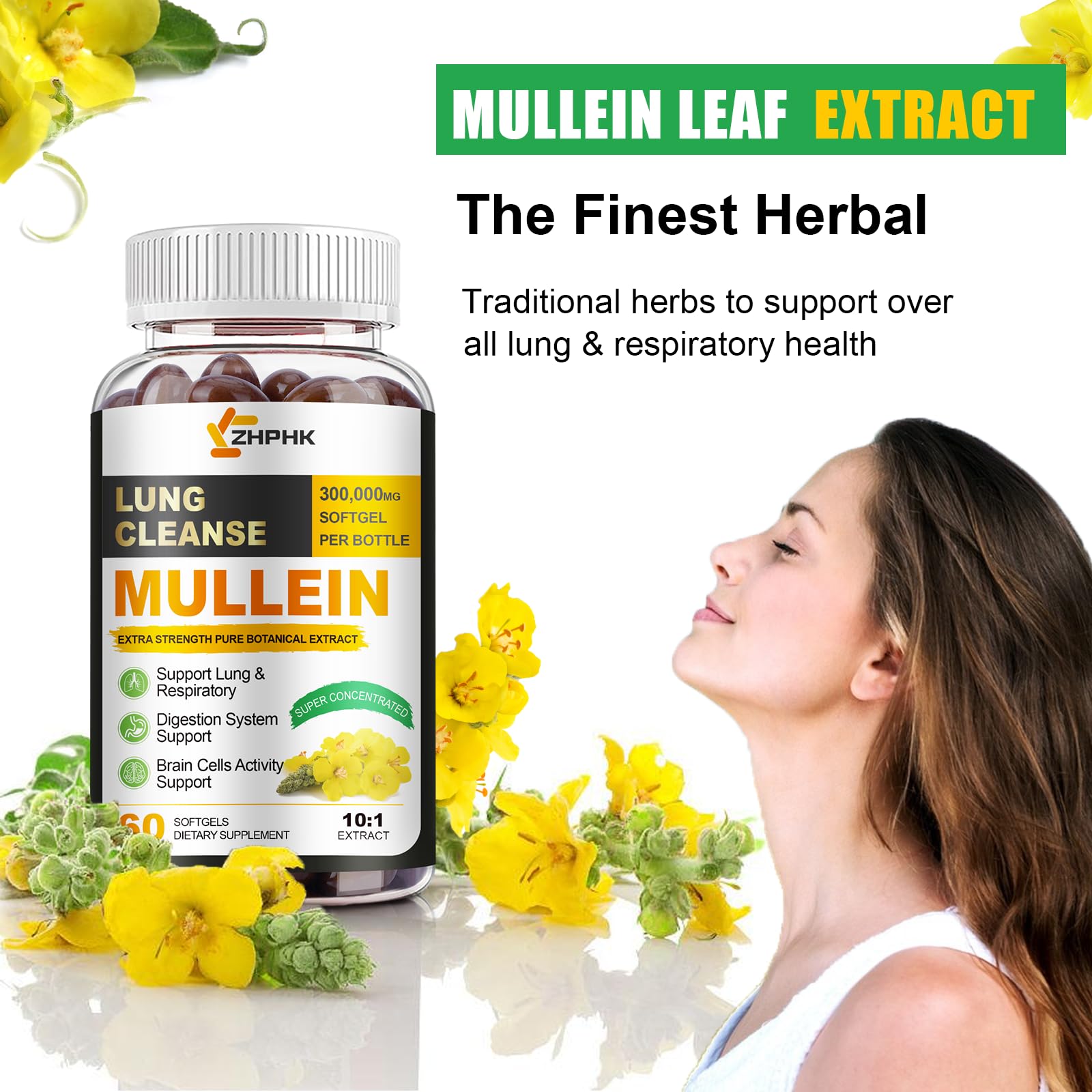 ZHPHK Mullein Leaf Extract capsules ready for daily use