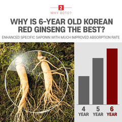 ZIOSTAND BOTO no additives formula for a pure ginseng experience.