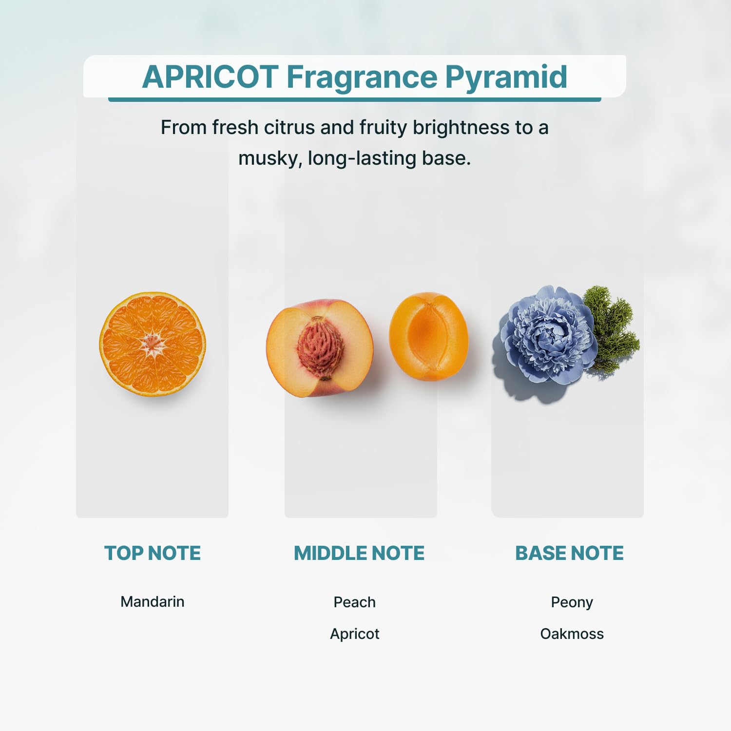 Zone Scent apricot oil closeup bottle, pure and natural fragrance