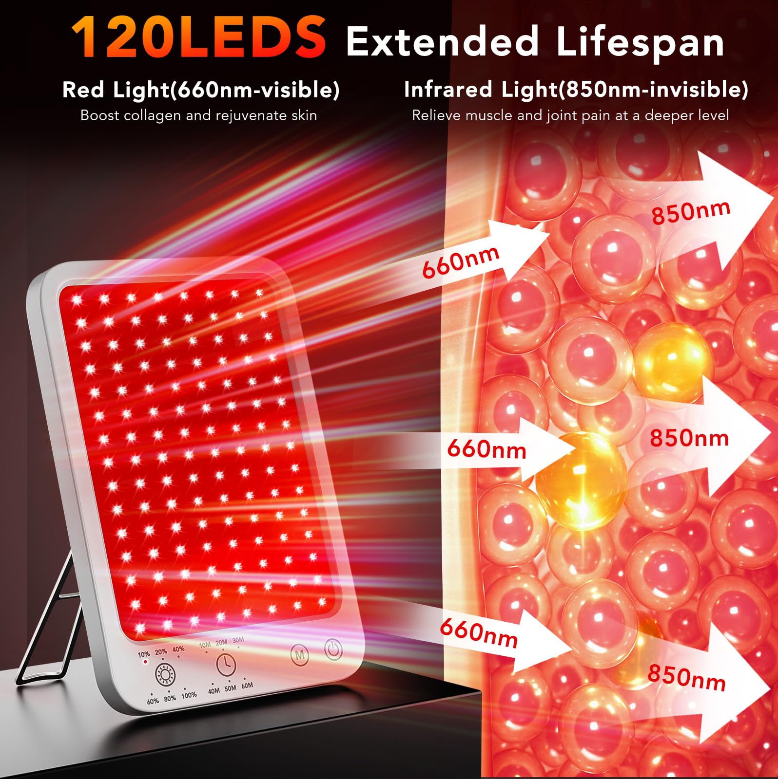 ZonGym six-brightness control lets you customize intensity.