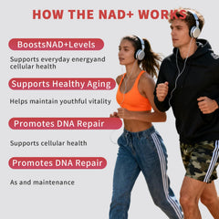 Label close-up on Zoone NAD+ emphasizing premium ingredients.