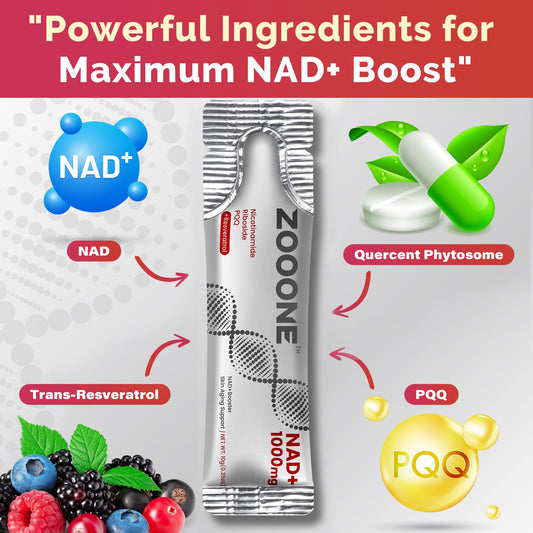 Zooone NAD+ pour close-up illustrating smooth absorption potential