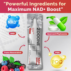 Zooone NAD+ pour close-up illustrating smooth absorption potential