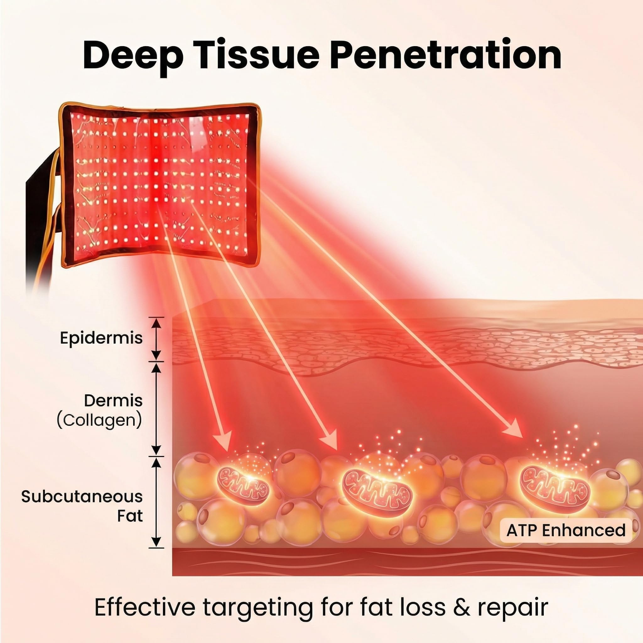 ZorMu red light therapy belt wrapped around abdomen for localized treatment and potential fat management