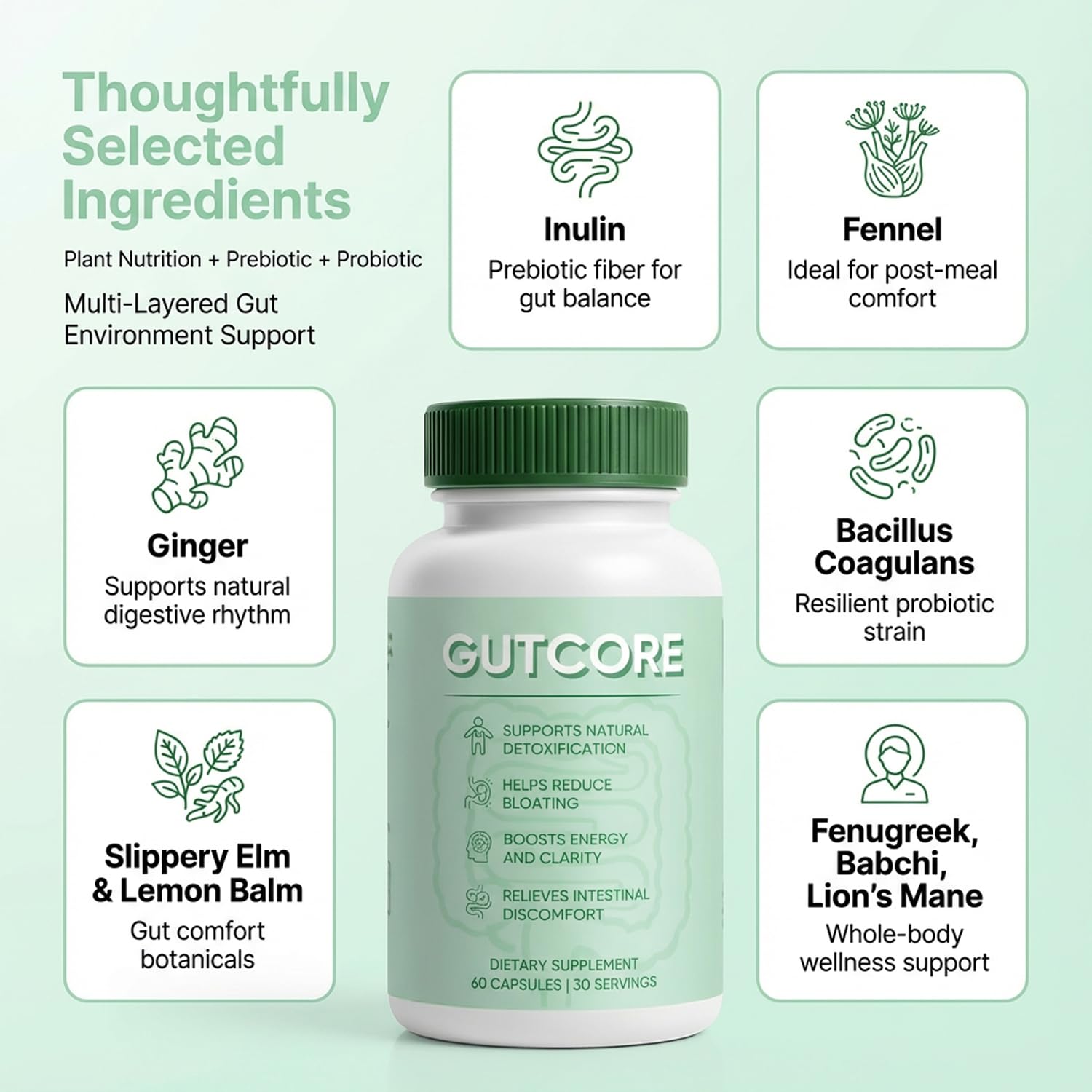 ZRRTXV GutCore ingredients blend featuring inulin, fennel, and ginger for digestion support.