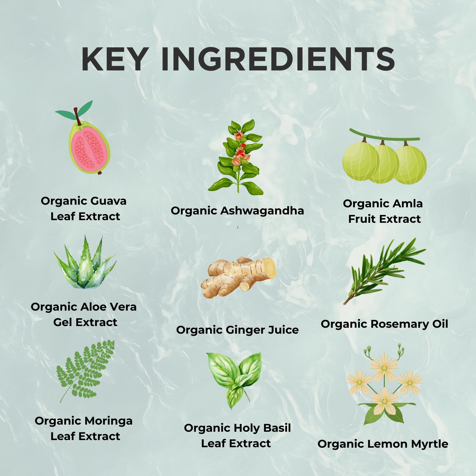 Zuma Nutrition Guava Leaf Zinc ingredients blend with organic botanicals