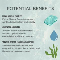 Zuma Nutrition trace ocean minerals amber bottle highlights broad mineral spectrum.