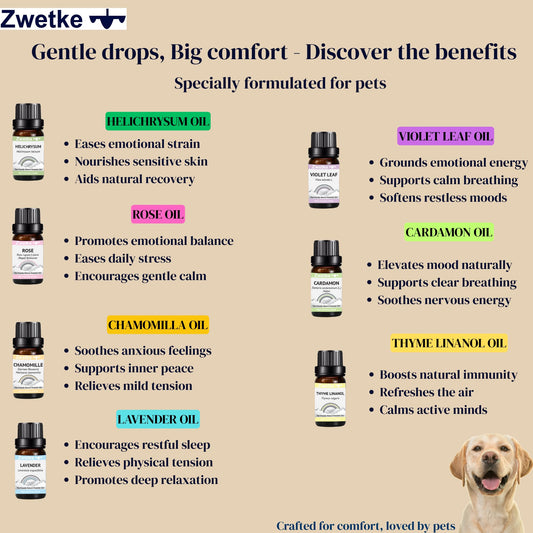 ZWETKE Pastel Chamomile oil bottle promotes gentle relaxation for pets and family