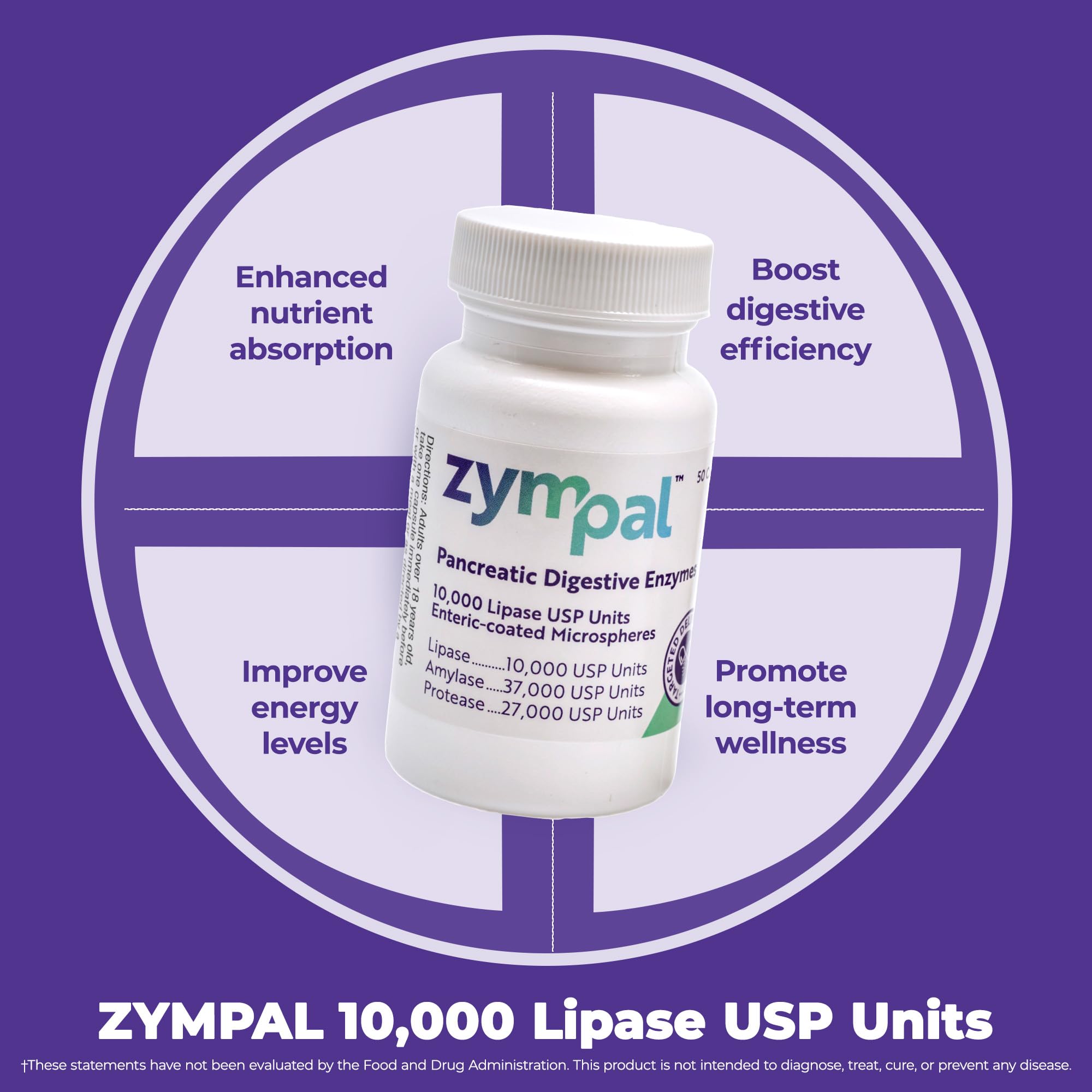 ZYMPAL enteric-coated microspheres close-up illustrating targeted enzyme delivery.