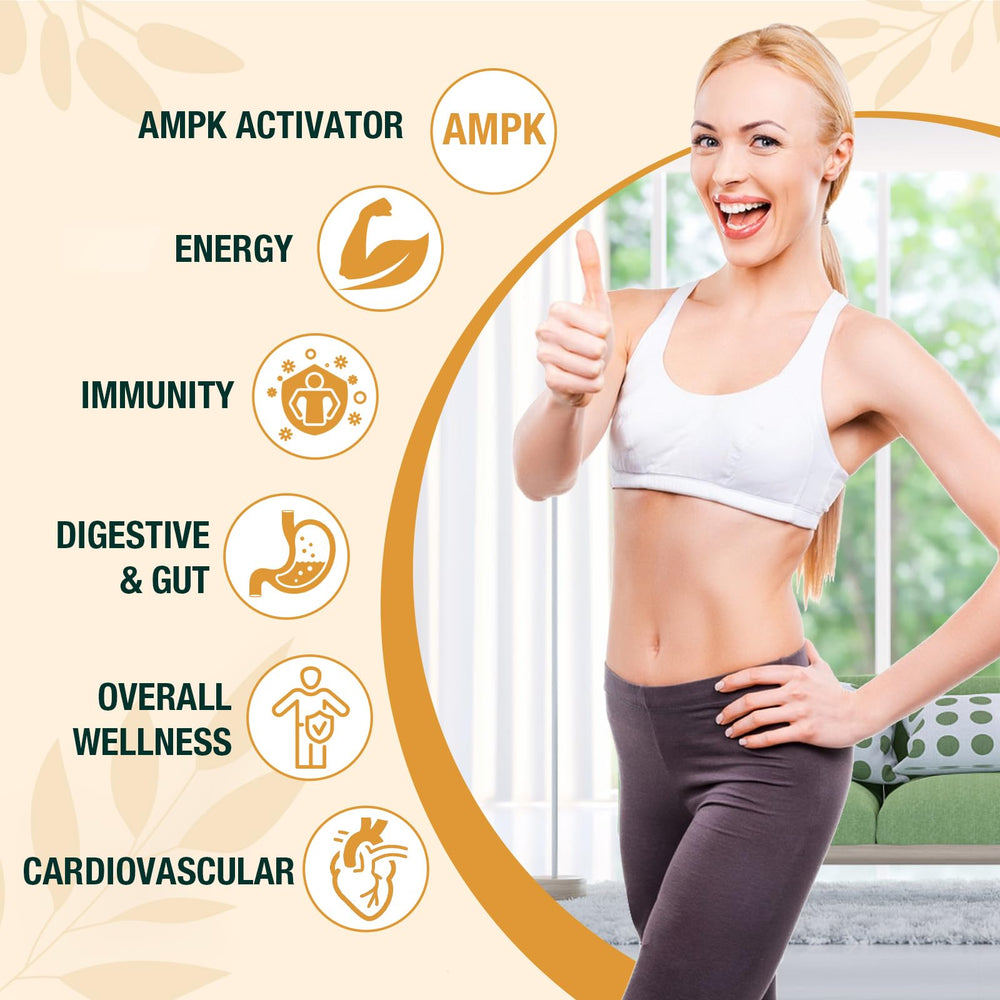 Zypherionixis prebiotic ginger ingredients support gentle digestion