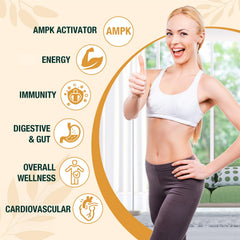 Zypherionixis prebiotic ginger ingredients support gentle digestion